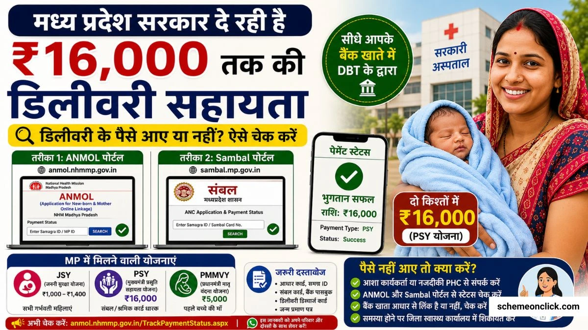 Delivery ke Paise kaise check kare