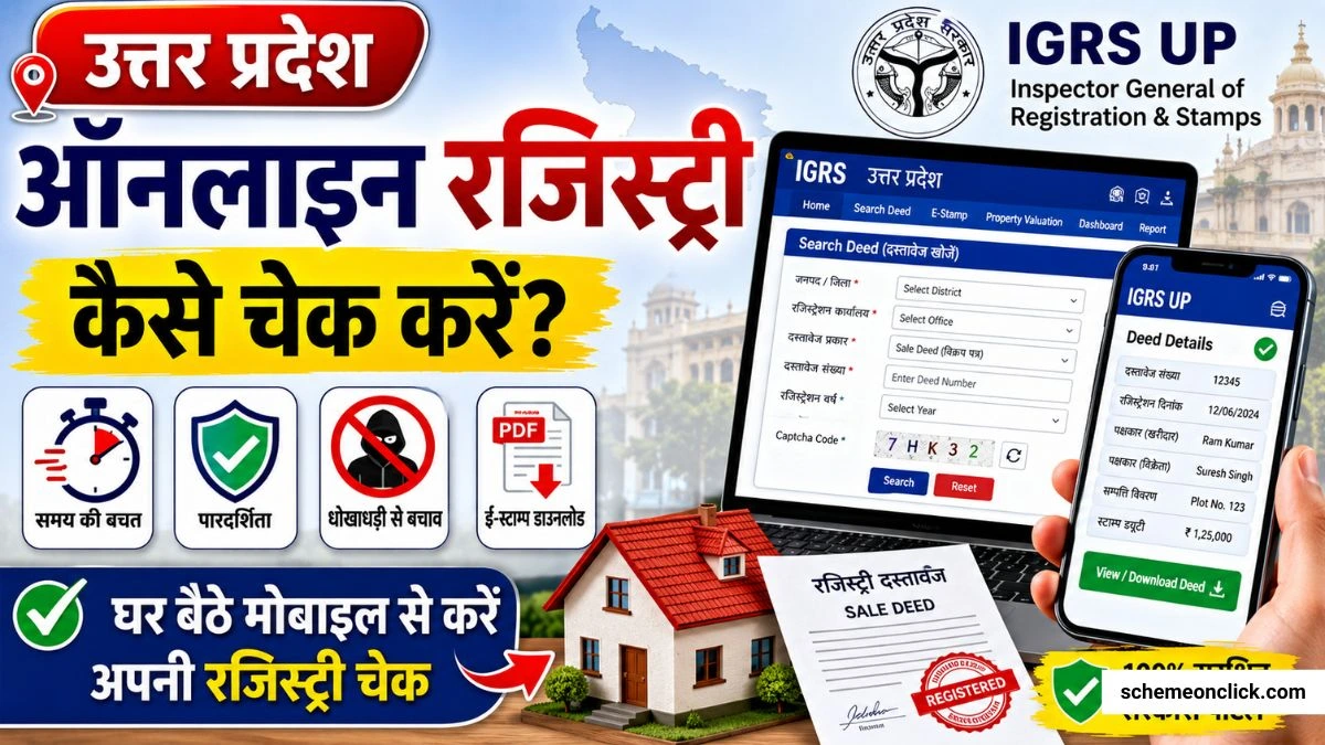 up online registry check